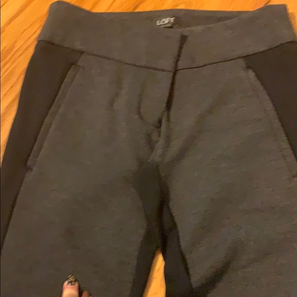 Ann Taylor Loft Grey & Black Riding Type Pants - Picture 7 of 9
